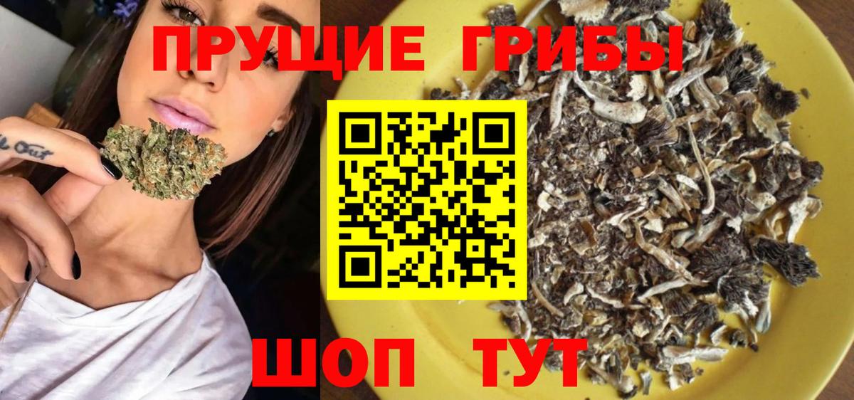 Галлюциногенные грибы Cubensis Энгельс