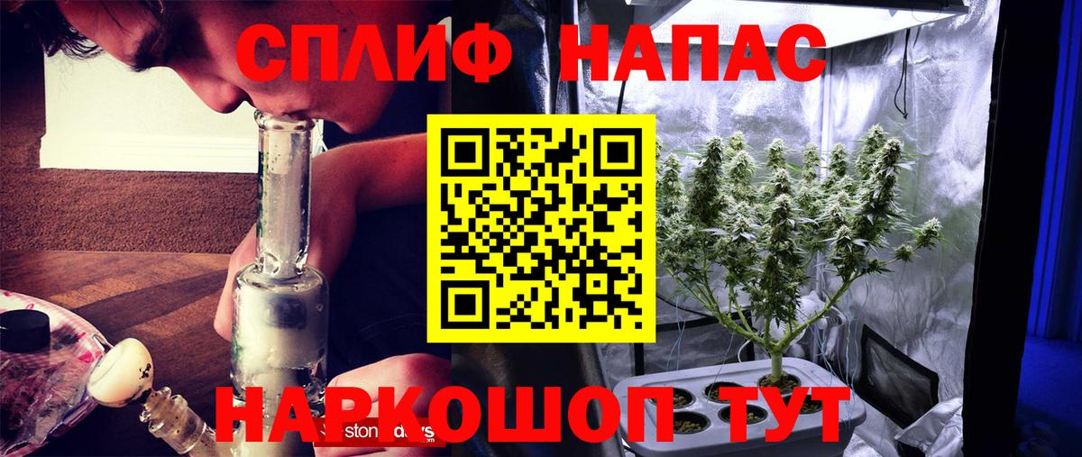 Конопля White Widow  Вход с VPN  Канабис Bruce Banner  Энгельс 